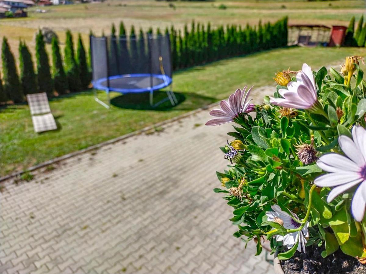 Natur Vendeghaz Miercurea Ciuc Zewnętrze zdjęcie
