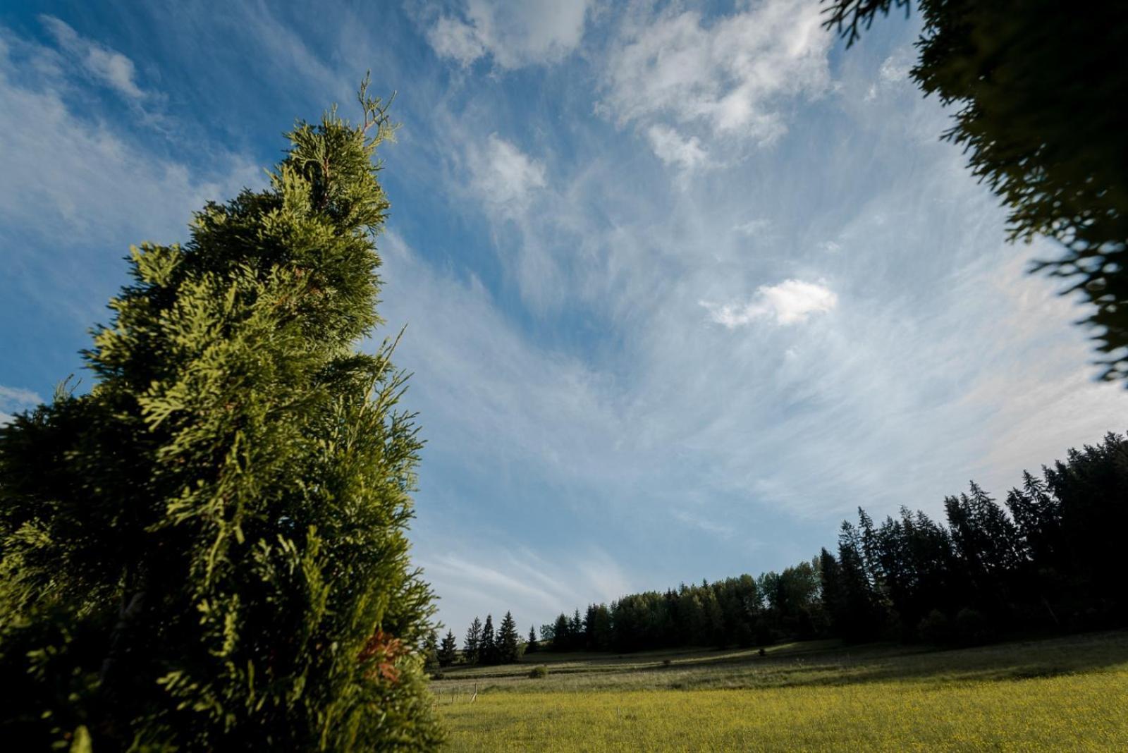 Natur Vendeghaz Miercurea Ciuc Zewnętrze zdjęcie